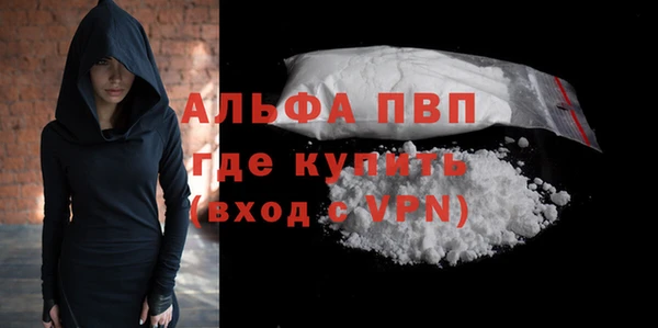 прущие грибы Иннополис