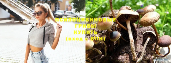 круглые Каменногорск