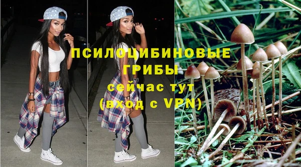 a pvp Каменск-Шахтинский