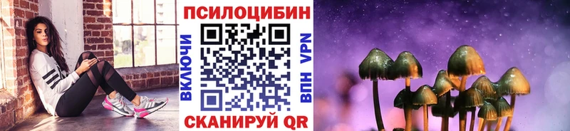 omg ссылки  Липецк  Галлюциногенные грибы Psilocybe 